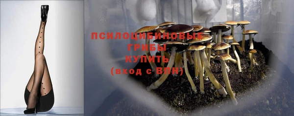 бошки Краснослободск